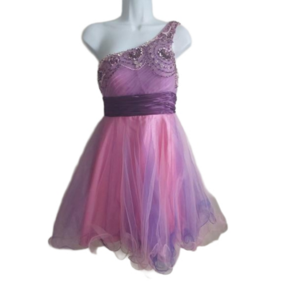 Cinderella One Shoulder Short Formal Hand Beaded Top Tulle Bottom Dress SZ 4